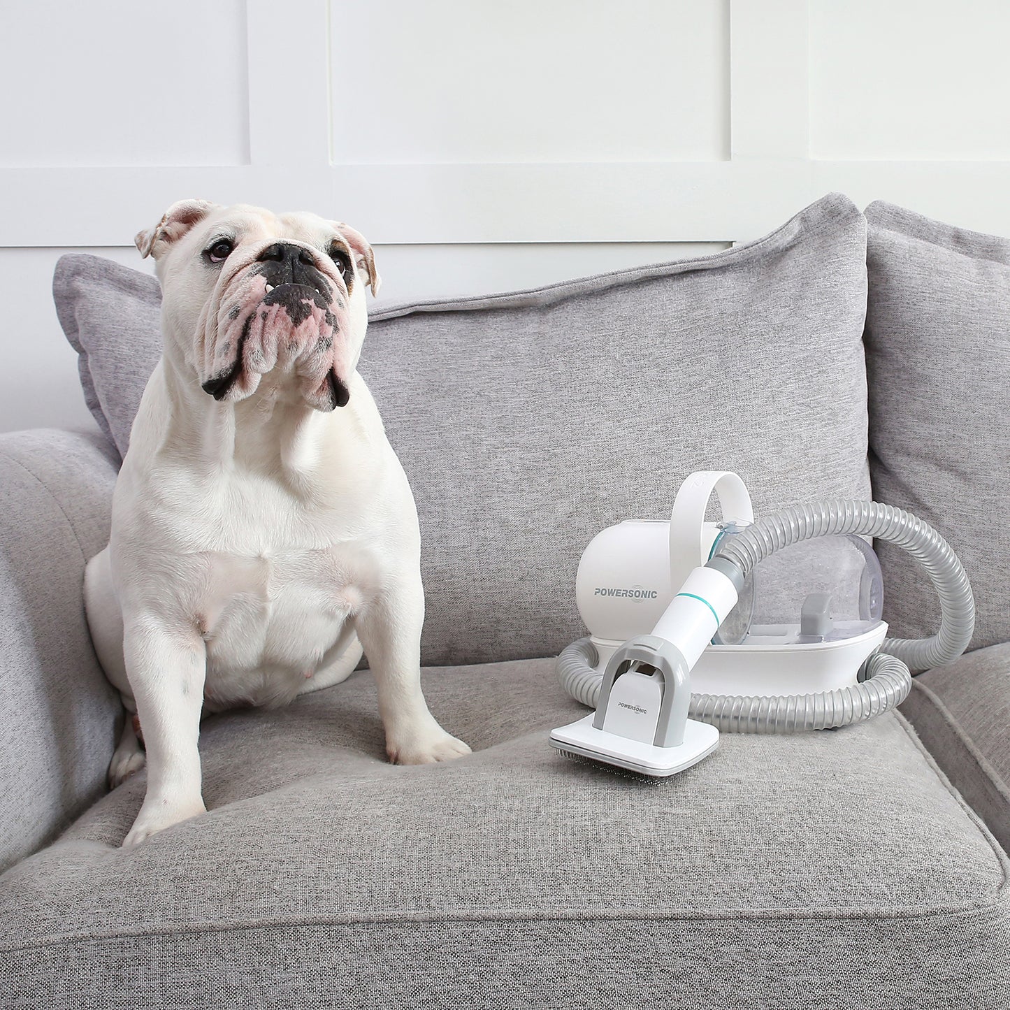 Powersonic DG2 Pet Vacuum Cleaner