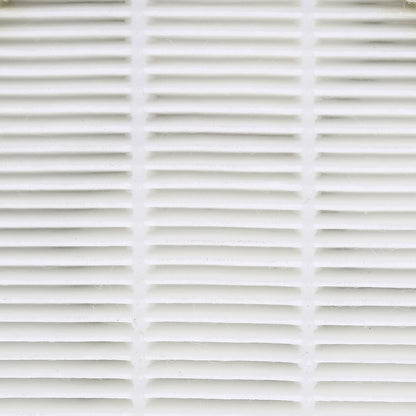 Powersonic DG2 Pet Vacuum Filter