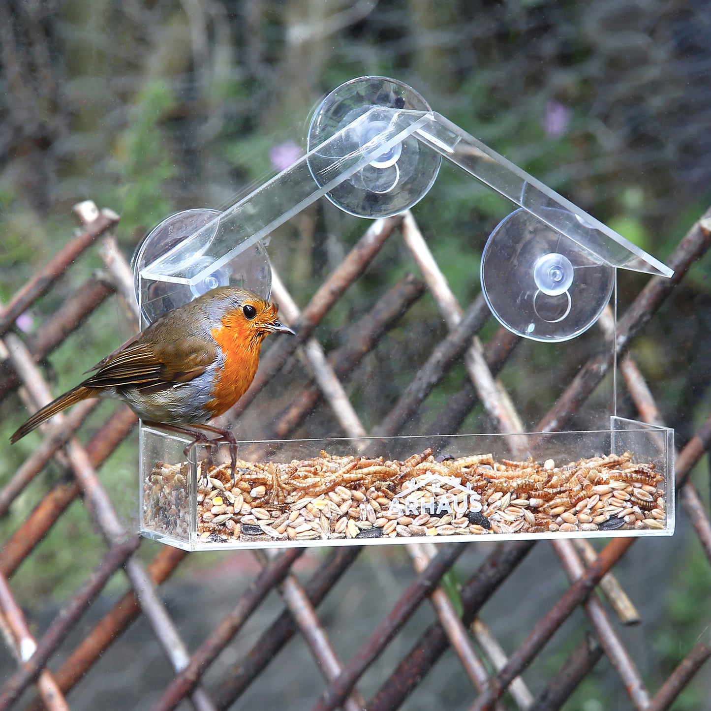 Arhaus Perspex Bird Feeder