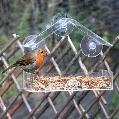 Arhaus Perspex Bird Feeder