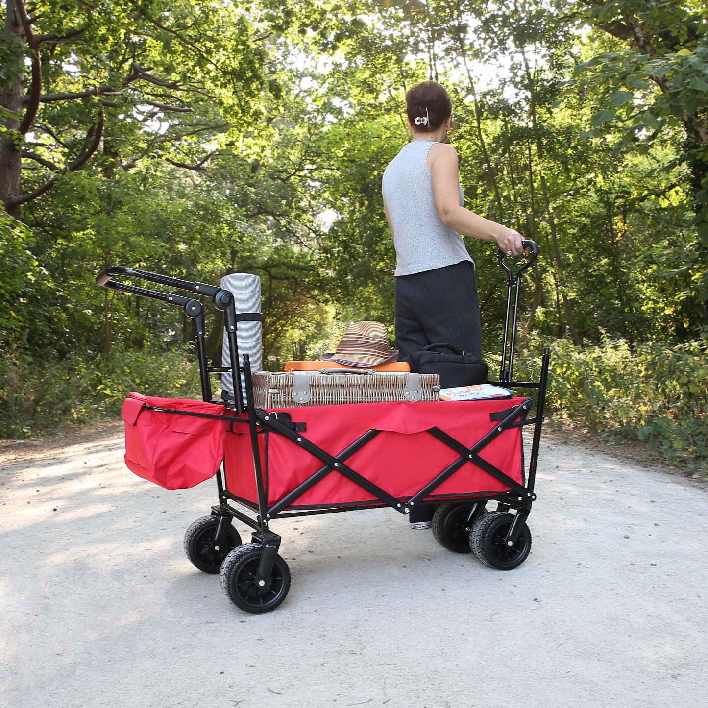 Portable Folding Trolley, Push Pull Cart Wagon with Canopy