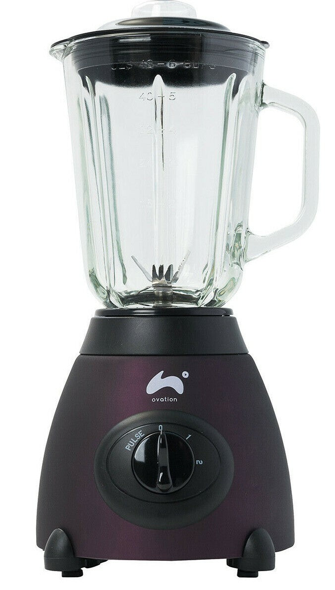 Jug Blender & Smoothie Maker