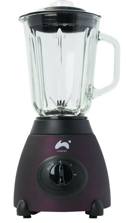 Jug Blender & Smoothie Maker