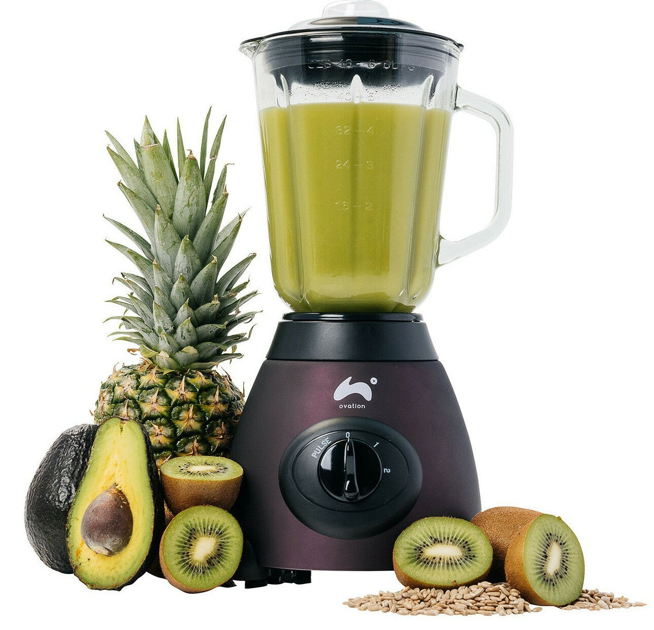 Jug Blender & Smoothie Maker