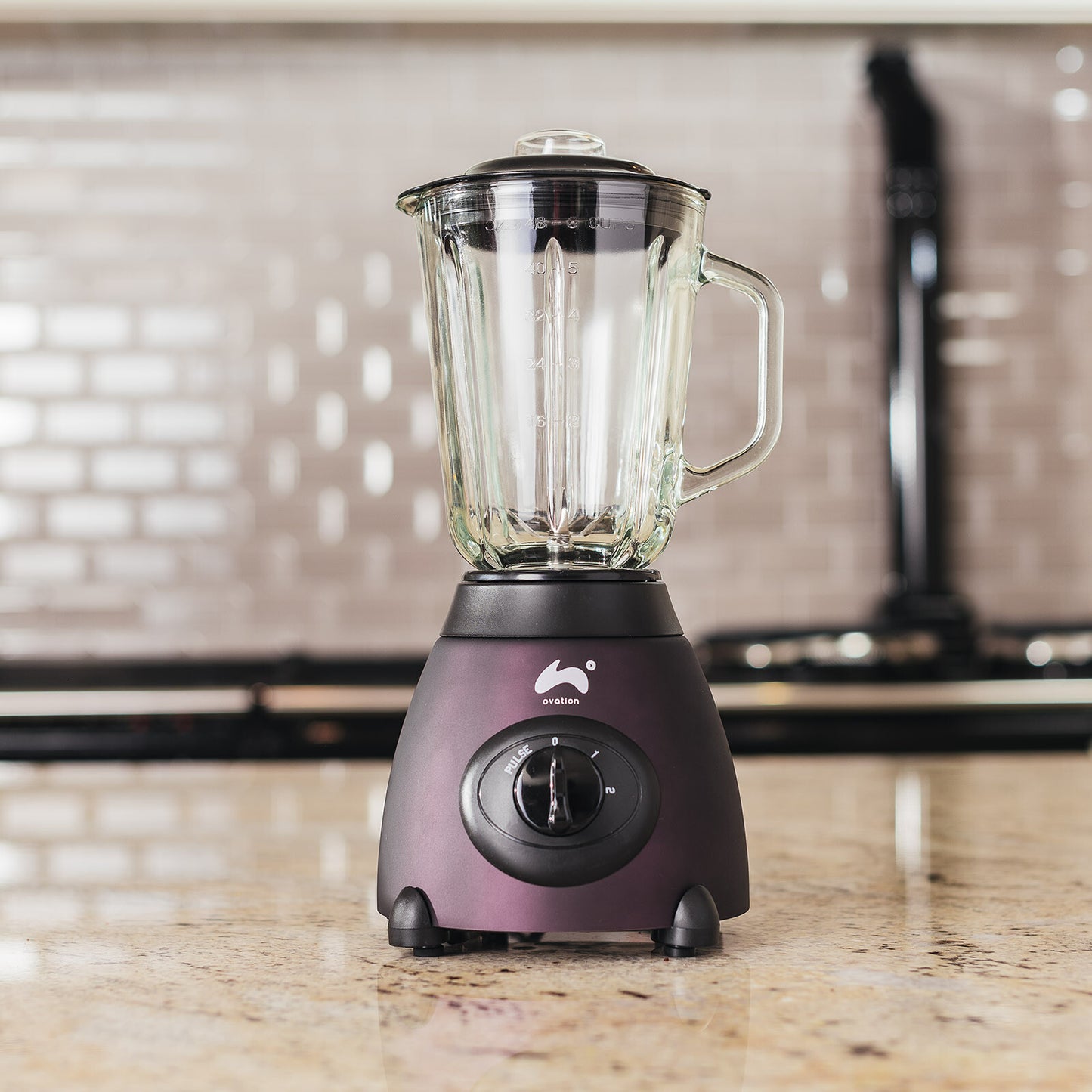 Jug Blender & Smoothie Maker