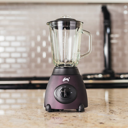 Jug Blender & Smoothie Maker