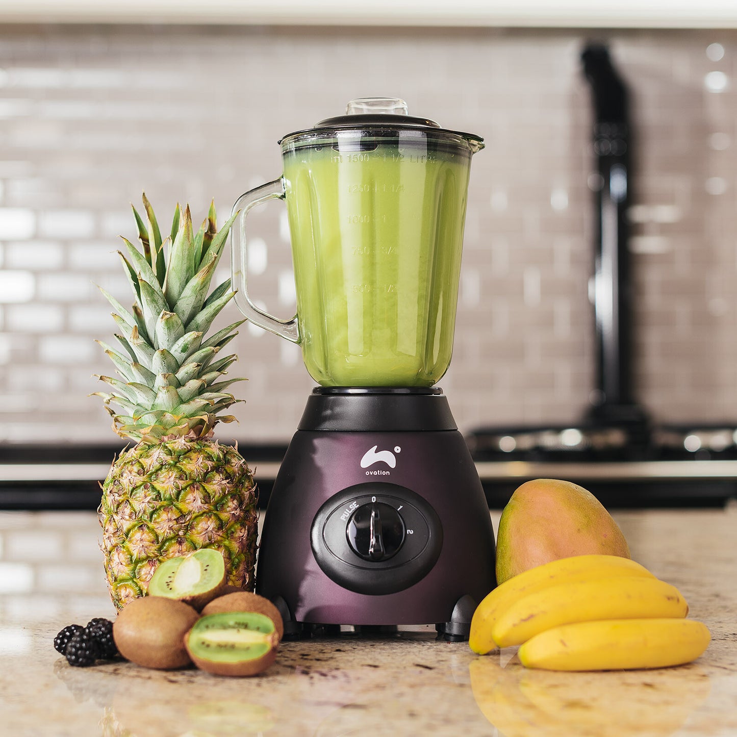 Jug Blender & Smoothie Maker