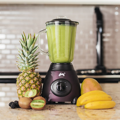 Jug Blender & Smoothie Maker